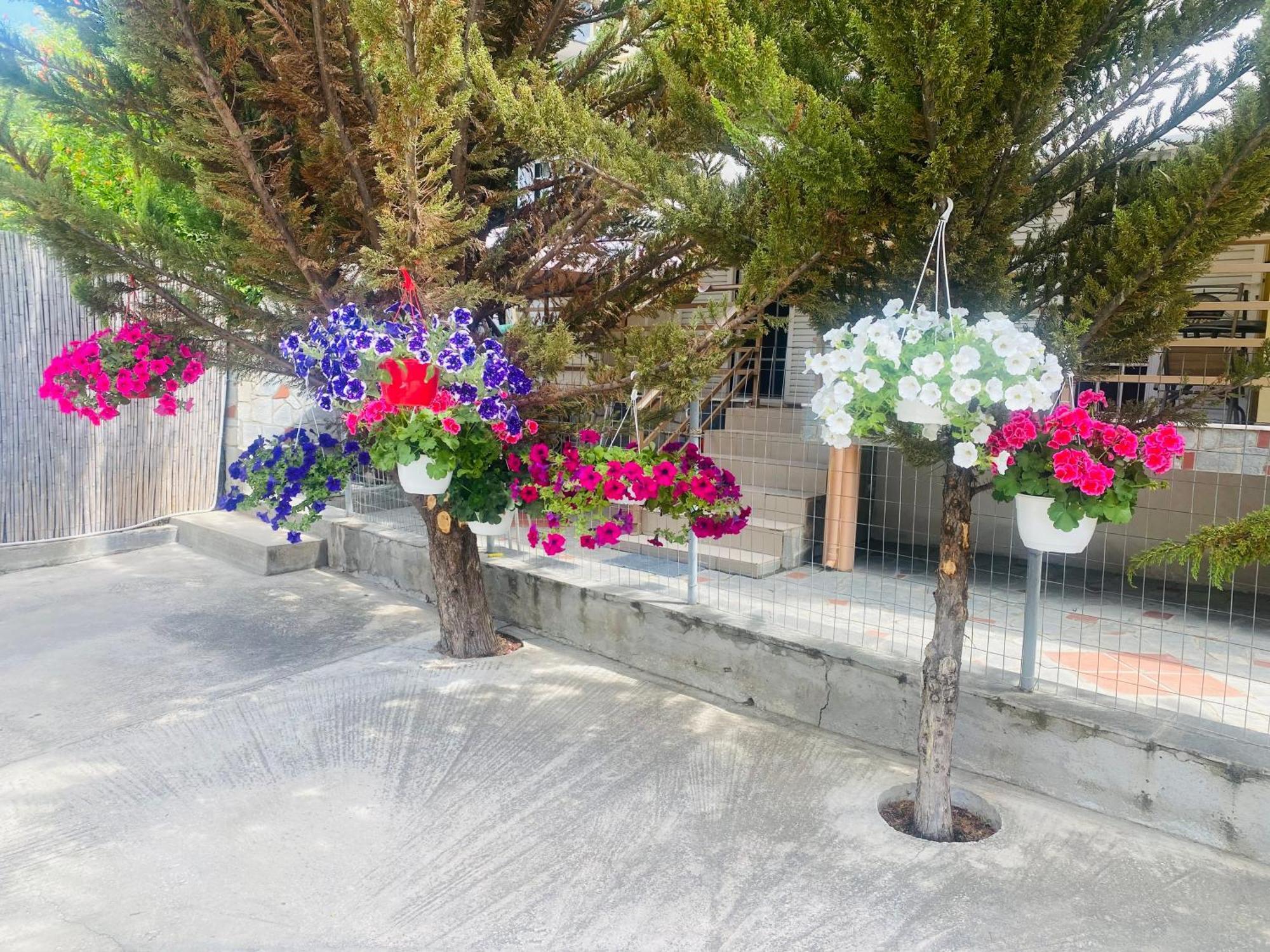 Markos Studios Potos Dış mekan fotoğraf